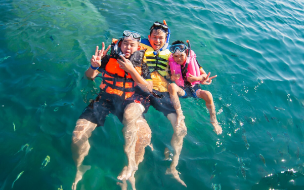 Dolphin Discovery Cozumel: vive una aventura acuática inolvidable en Cozumel