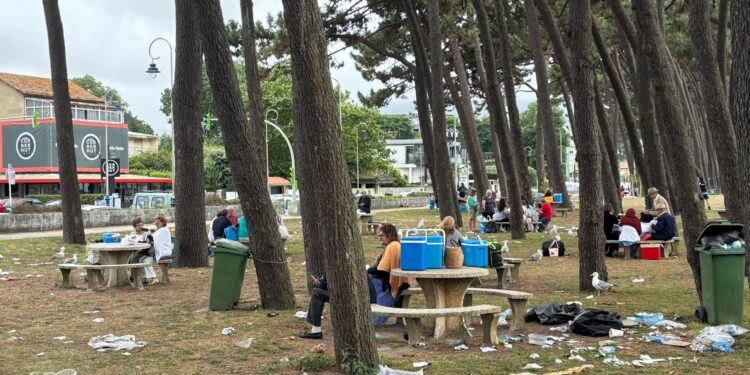 Vigo sufre tras una semana de huelga en Parques y Jardines