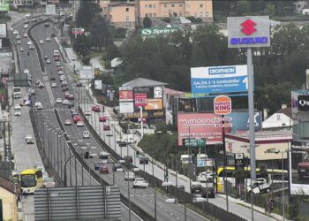 Vigo sufre tras una semana de huelga en Parques y Jardines