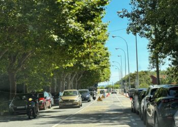 Una poda que complica el aparcamiento