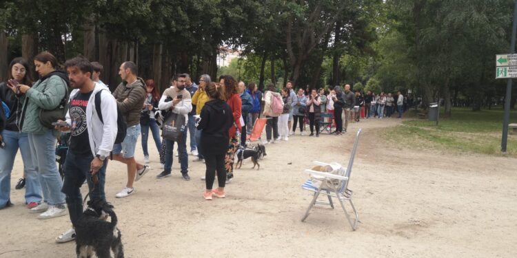 Colas en Castrelos y web ‘puntualmente’ caída para la venta de entradas de Dani Fernández