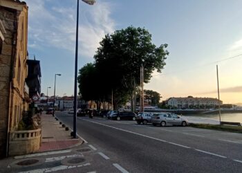 Esixen ao Concello que actúe fronte a vandalización de varias árbores no paseo de Canido 