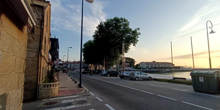 Esixen ao Concello que actúe fronte a vandalización de varias árbores no paseo de Canido