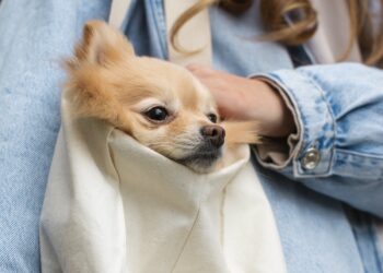 Vigo suma un nuevo centro comercial a la red ‘pet friendly’