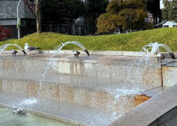 Al fresco en la Praza de América