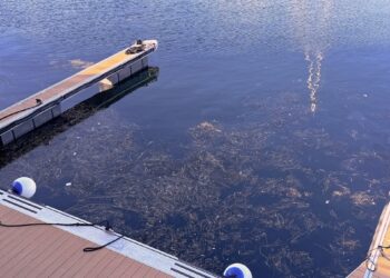 Imagen deplorable en el puerto