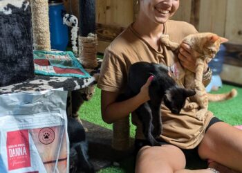 Nugape y La Isla de Tali, una alianza por el bienestar animal