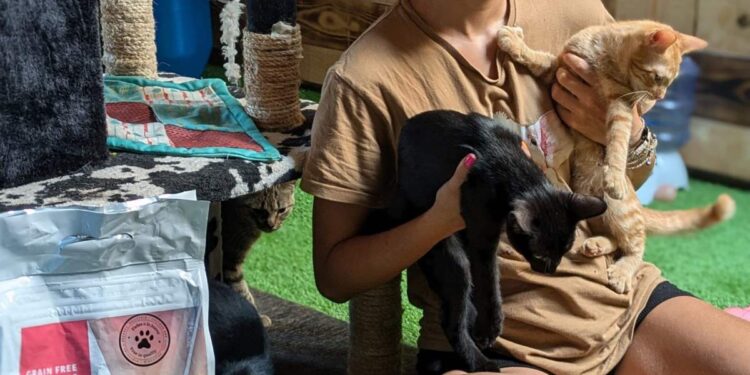 Nugape y La Isla de Tali, una alianza por el bienestar animal