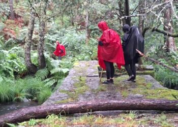 «A través de la Vía Mariana pretendemos revitalizar y dinamizar el desierto verde»