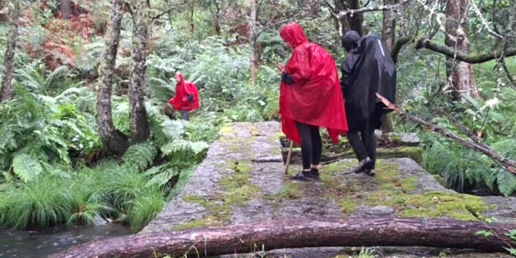 «A través de la Vía Mariana pretendemos revitalizar y dinamizar el desierto verde»