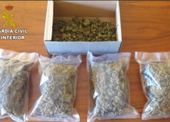 Un dron descubre plantación de marihuana en Salvaterra