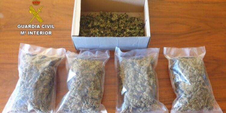 Un dron descubre plantación de marihuana en Salvaterra