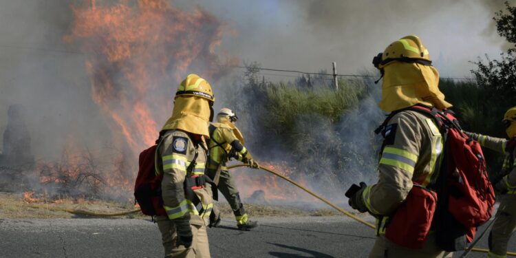 Agosto termina en Galicia con más de 230 hectáreas afectadas por incendios forestales