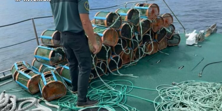 Intervienen 49 nasas de marisco ‘ilegales’