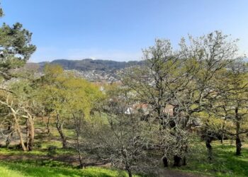 Un fin de semana en familia entre cuentos y carballos