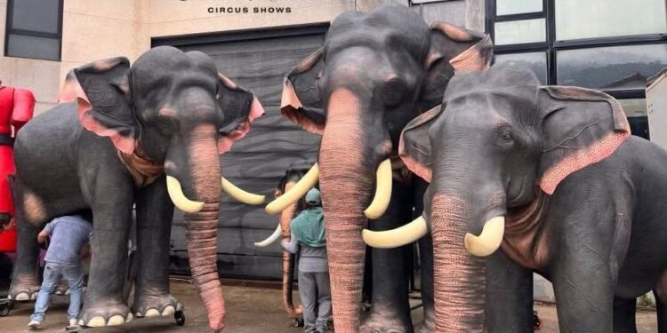 La revolución circense que nace en Oia