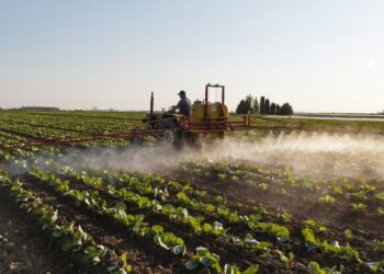 Un nuevo estudio asocia los pesticidas como factor de mayor riesgo de cáncer en comparación con el tabaquismo