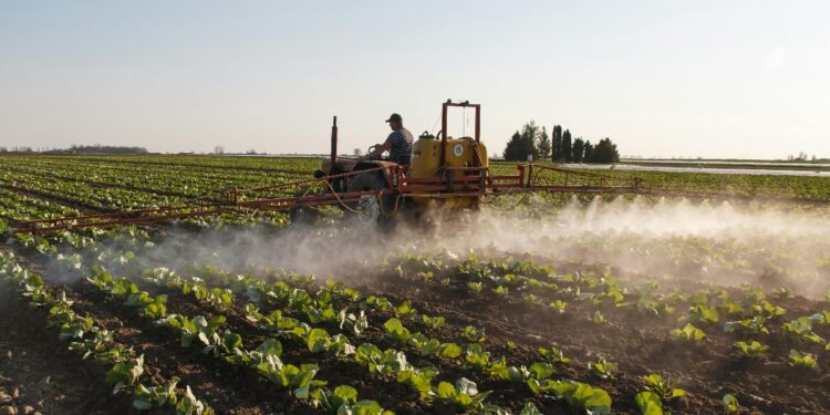 Un nuevo estudio asocia los pesticidas como factor de mayor riesgo de cáncer en comparación con el tabaquismo