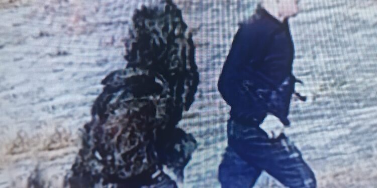 Alerta internacional tras la fuga de cinco presos «peligrosos» de una cárcel al norte de Lisboa