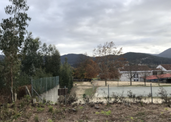 Un colegio de Nigrán convertirá su patio de recreo en un bosque