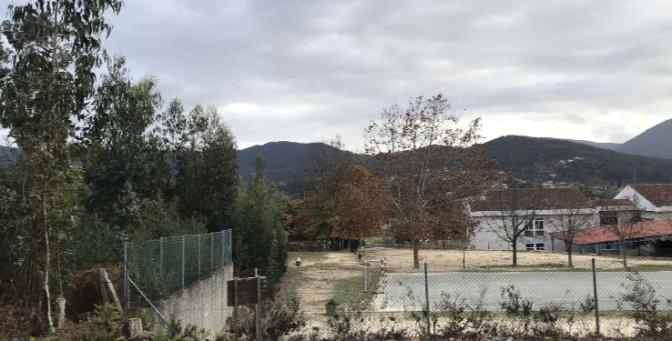 Un colegio de Nigrán convertirá su patio de recreo en un bosque