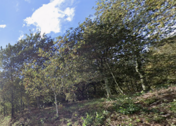 La comarca de Vigo suma una nueva prueba deportiva: el I Trail Saltamontes