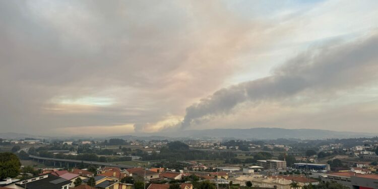 Pánico por los incendios forestales que asolan Portugal