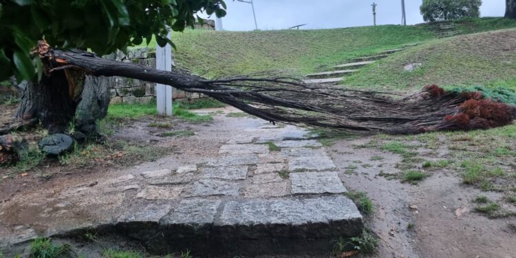 Vigo, la más afectada por el paso de la borrasca Aitor