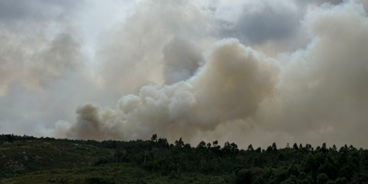 Actualización: el incendio forestal de Crecente ya arrasó 200 hectáreas