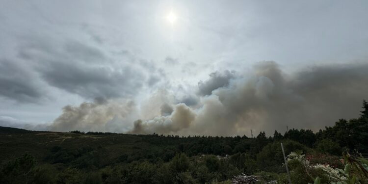 Actualización: el incendio forestal de Crecente ya arrasó 200 hectáreas
