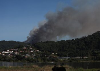 Estabilizado un incendio en Arbo que afectó a unas 20 hectáreas