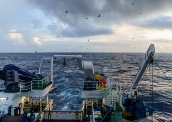 Zarpa de Vigo una investigación del CSIC para evaluar la pesca del oeste de Irlanda
