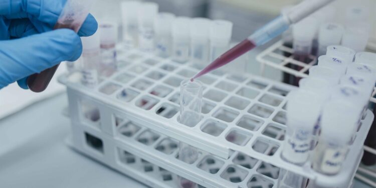 La UVigo capta 1,2 millones para impulsar y consolidar plazas de investigación