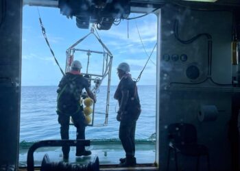 Las cigalas gallegas, objeto de estudio