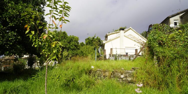 Prisión provisional para el joven detenido tras matar a su madre en As Neves