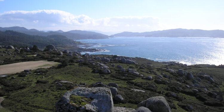 Agotadas en minutos las últimas plazas del programa ‘+Bosques’