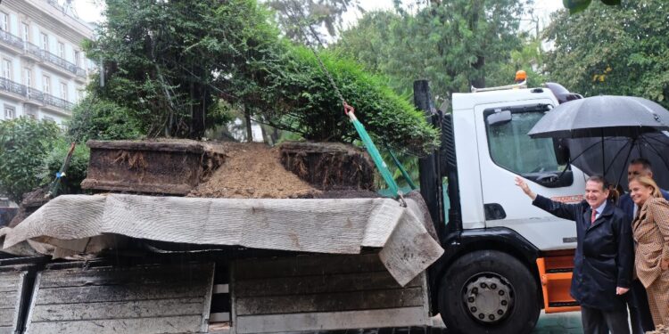 Accidentada mudanza del símbolo de Vigo: Dinoseto se va de la Alameda sin billete de vuelta