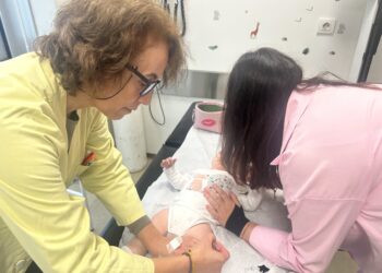 Arranca la vacunación infantil frente a la gripe: estas son las novedades