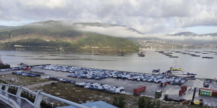 El Puerto de Vigo ganará metros en Rande para almacenar más vehículos