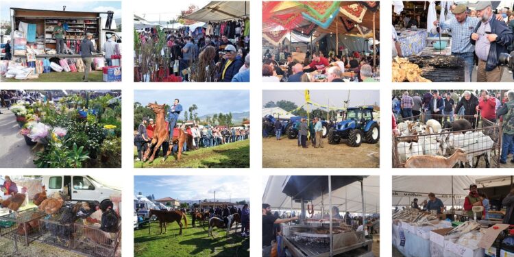 Se acerca un festivo… con ‘peregrinaje’ a la feria más grande de Portugal