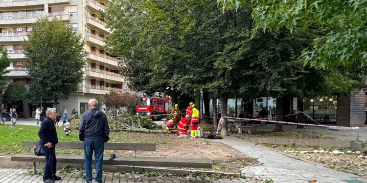 Los bomberos siempre indispensables