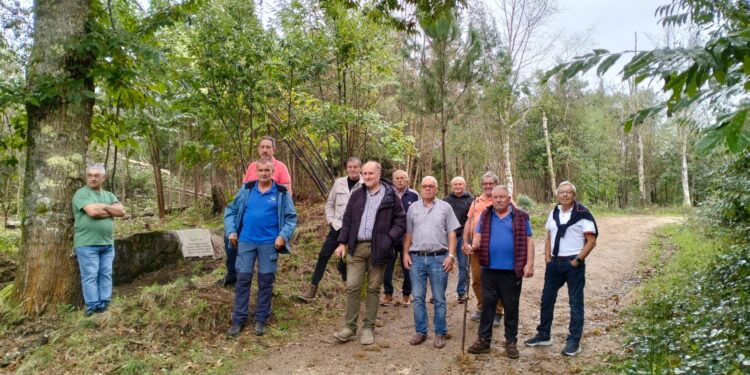Siete años desde el incendio que arrasó un tercio de los montes de Vigo