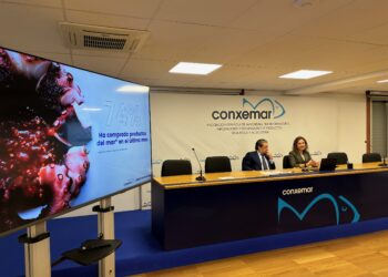 Dos de cada tres familias que comen pescado, lo prefieren congelado