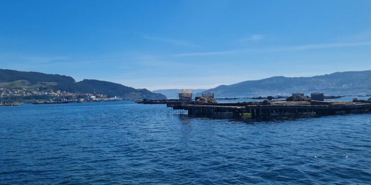 Más de la mitad de las bateas de la ría, cerradas