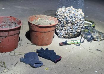 Sorprendidos tres furtivos en Vigo con 27 kilos de marisco