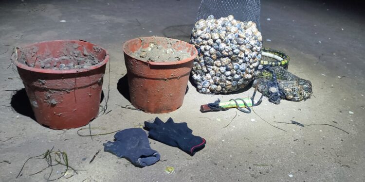 Sorprendidos tres furtivos en Vigo con 27 kilos de marisco
