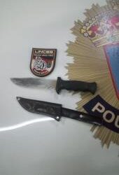 Una culebra de metro y medio se cuela en una cocina en Vigo