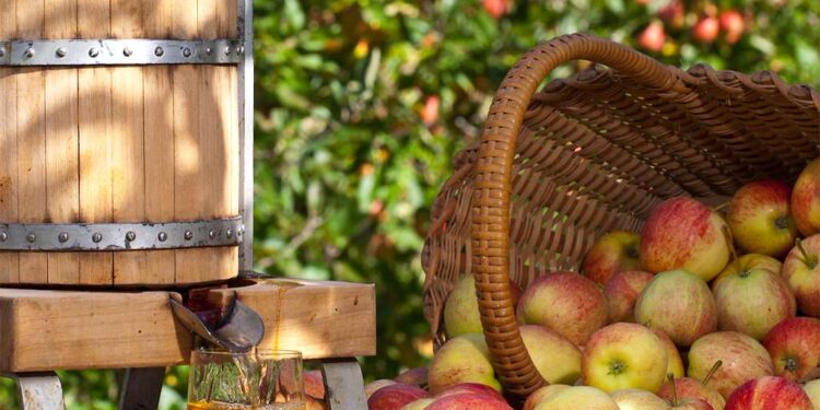 Bembrive se convierte un año más en capital de la sidra