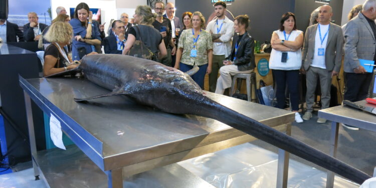 Una práctica ancestral convertida en espectáculo: el ronqueo de un pez espada