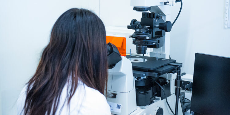 Alianza entre Diputación y UVigo para potenciar a jóvenes investigadores